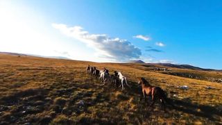 Beautiful Nature Video or Relaxation | Most Amazing Nature Video | 4K Destination