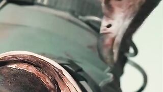 Best film scene and amazing video 2023