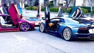 Paradise car