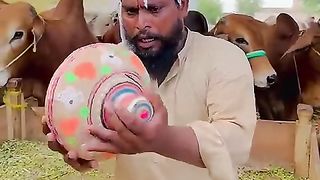 Funny Video 161