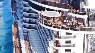 crocus  ship and enjoying people