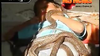 animal 50