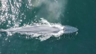 Aerial drone overhead footage majestic l