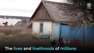Impact Of War In Ukraine On Global Food Security April 2022