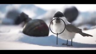 Птичка