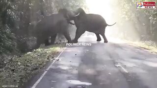 Kumki film climax surpasses