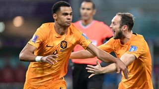 Netherlands Vs Ecuador 1-1 extended highlights 2022