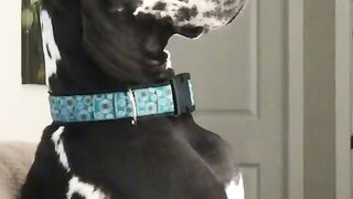 Please subscribe my Chanel ? Am uploading 20+ videos per day, Enjoy my Chanel