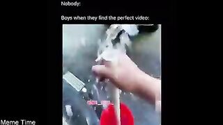 Funny tiktok videos