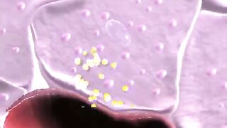 Insulin Resistance phenomenon