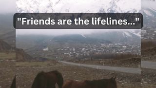 Friendship Facts | Friendship Amazing Facts. 3
