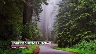 ✅Música para positividade, despertar a felicidade e alegria, otimismo