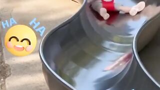 Baby girl fell on bottom of slide - Cute funny short video????