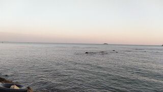 Beautiful sea