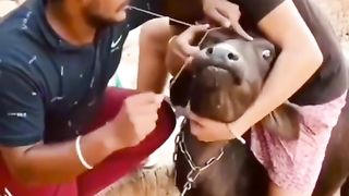 Funny video
