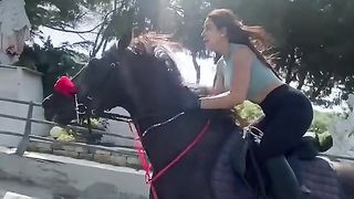 Nice Horse Riding