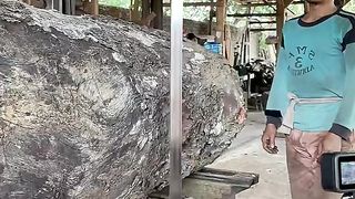 Dangerous sawing wood