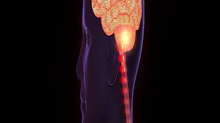 Amazing Facts about Human Brain 2 | Human Brain Power