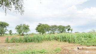 Village 16