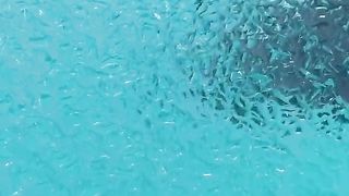 Beautiful places in the world #Beautiful #places #viral #febspot #videos