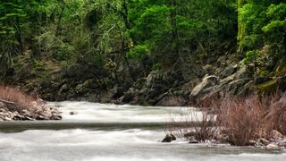 Firm As Rock | Motivation