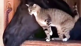 Let's be friends with you