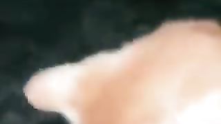 Kitten flying at great speed