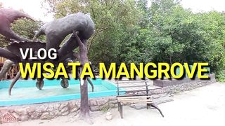 Misteri Dibalik Wisata Hutan Mangrove di Kotaku