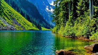 The Beautiful | Kumrat Valley | Havean Scene| #Febspot