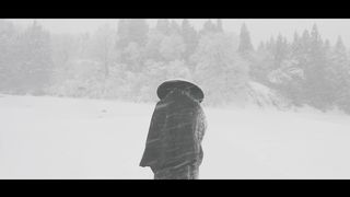 Wake Me Up 箏Koto cover Avicii TRiECHOES