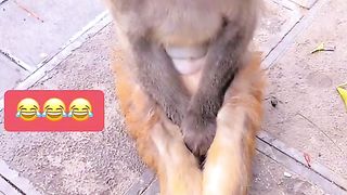 Don’t disturb me????????????