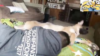 Funny Moments | Funny moments compilations