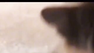 Funny video spot me bhai log 331