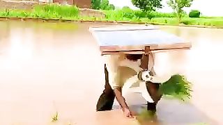 Solution of summer in pakistan