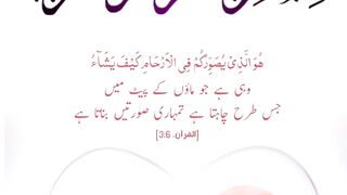 Quran , Al Quran Surah 03 Ayat 06 #viral #shorts #quran #youtubeshorts