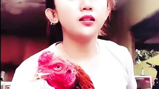 Cara Merawat Ayam Jago Bangkok
