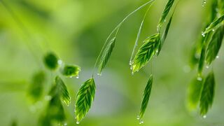FIND PEACE IN NATURE! ♥