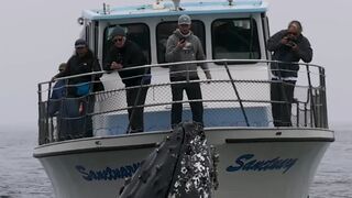 This Humpback Whale Checks Out the!!!