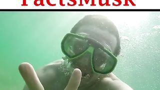 5 facts with musk video amazing video