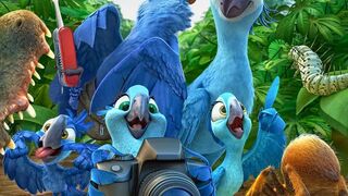 Facts with animal amazing video
