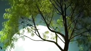 Nature is the key to life