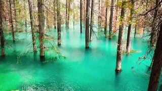 Explore the beauty of nature