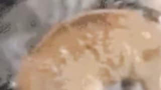 Mind Fresh nar ???? Funny video