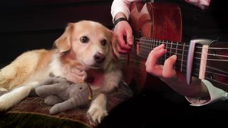 Green_Day_-_Boulevard_of_Broken (Fingerstyle Guitar)