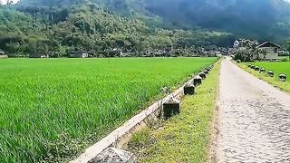 Ke sawah sambilrrfressing