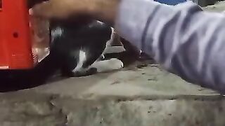 I was talking to my cat