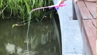 Those Who Use Fishing Rods Are Really Crying Seeing This
