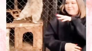 Funny videos 272