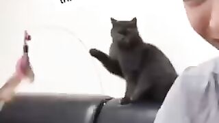 Try catching this