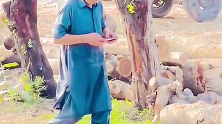 Ye Hain Pub G k nashe on road ????️